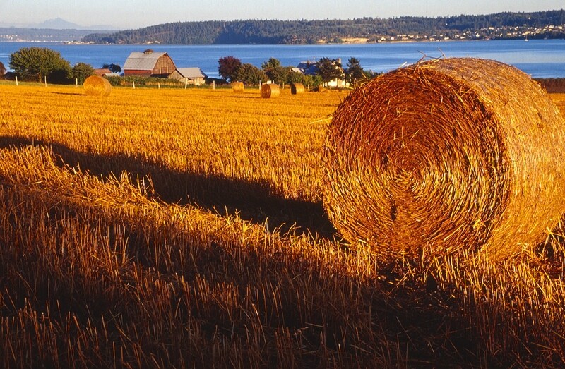 Barn &amp; Hayroll