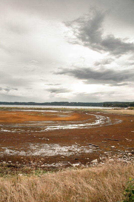 San de Fuca 4