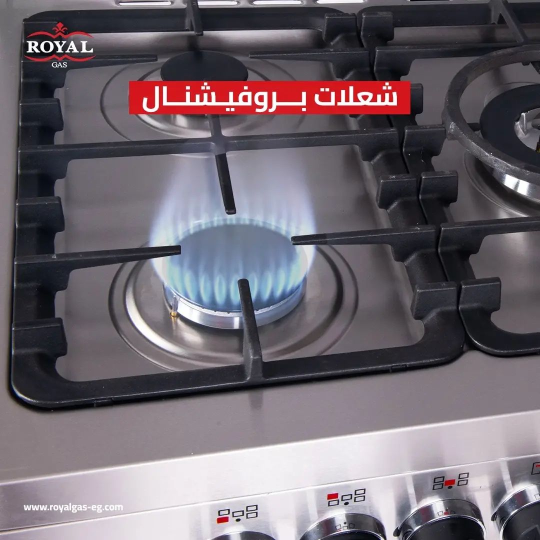 Royal Gas professional 90 cm itlalian components