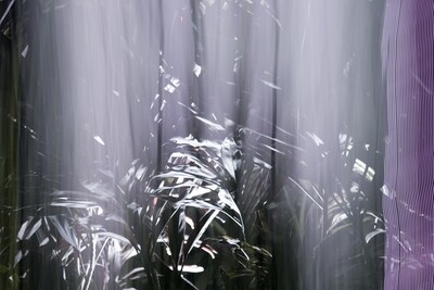 BOTANICAL