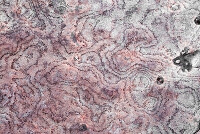 MARKINGS