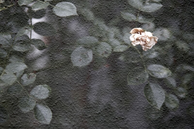 Melancholy