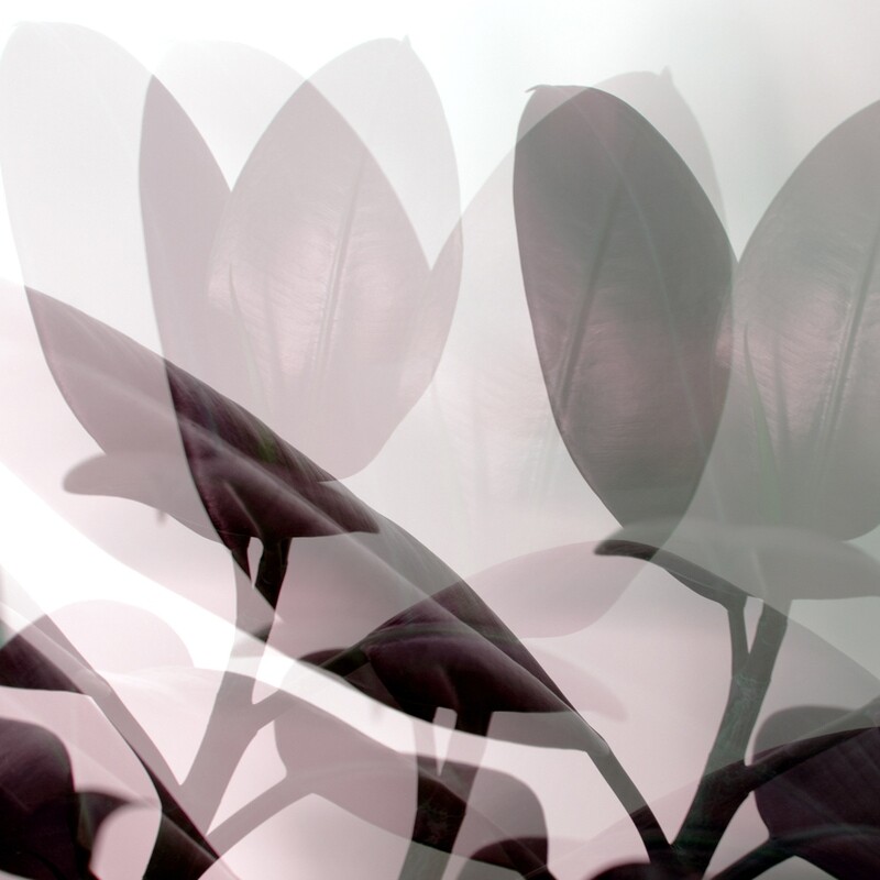 Secrets 3