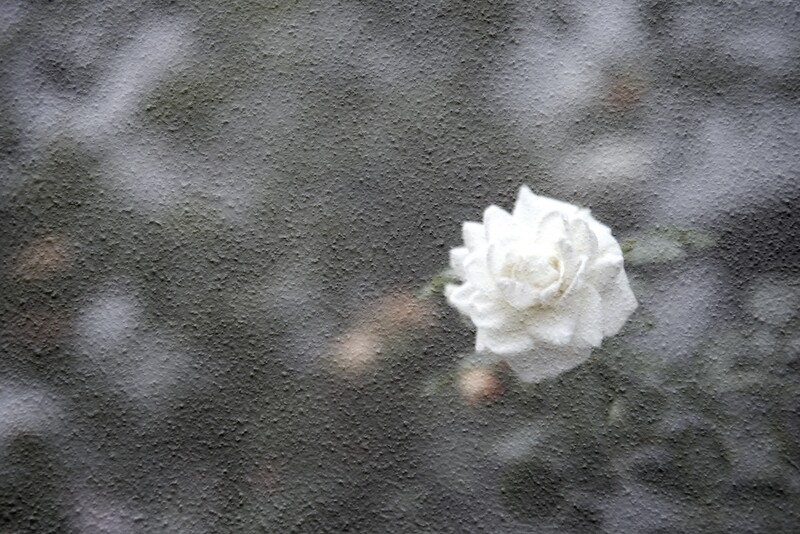 Sincerity