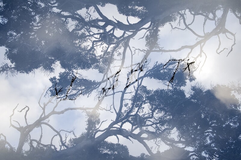 Connected