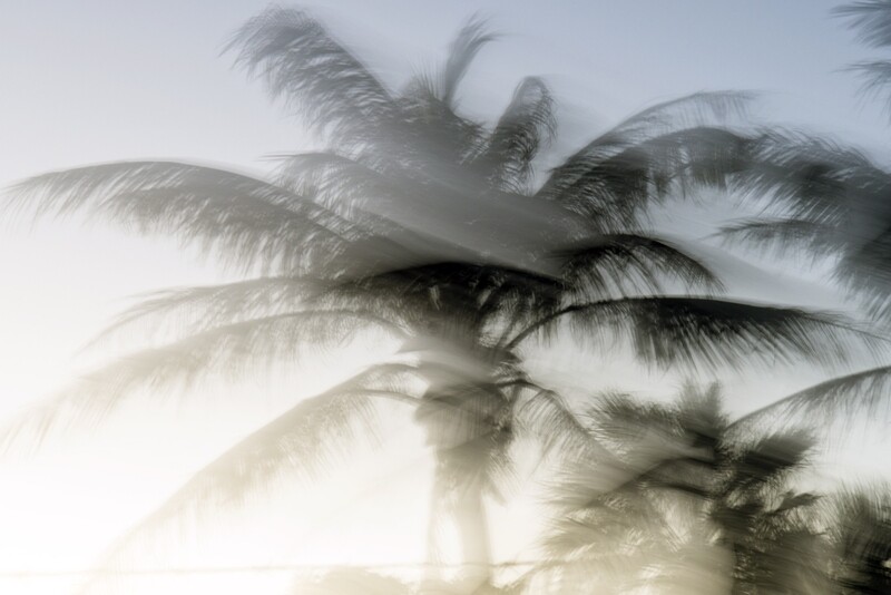 Endless Summer