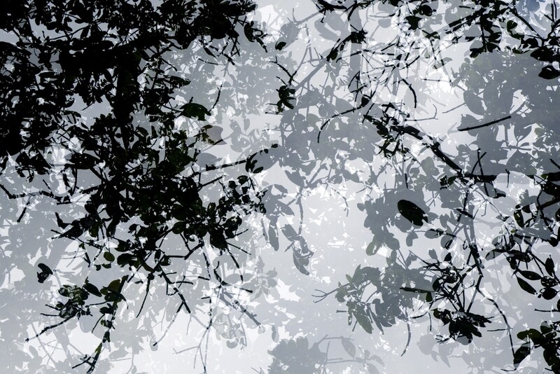 Sheltered