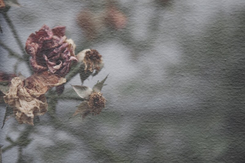 Bereaved