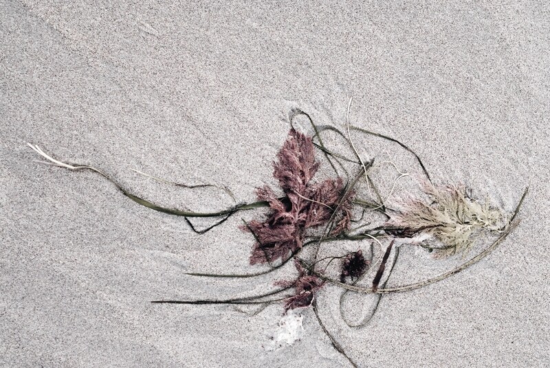 Marooned