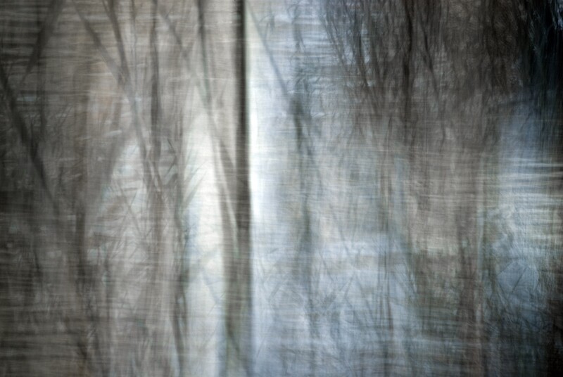 Veil