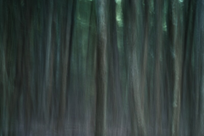 Enchanted