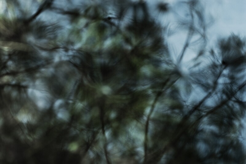 Reflect