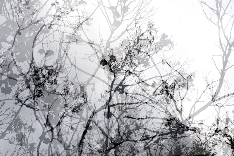 Smoke + Mirrors