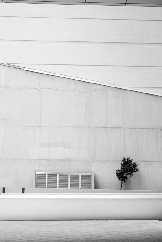 Concrete Jungle