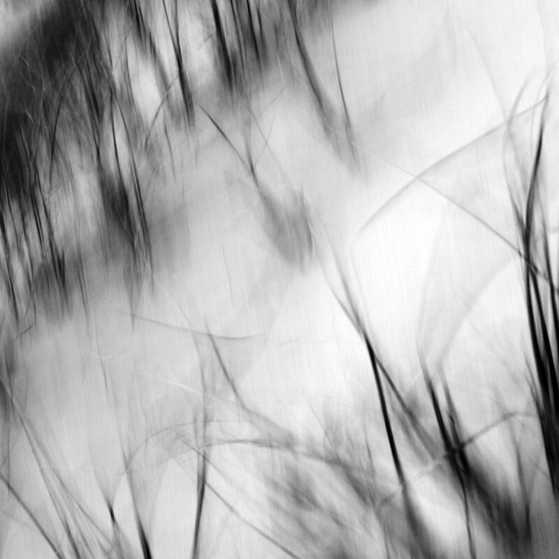 The Tempest