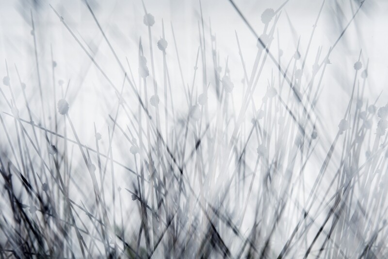 Crossed Paths