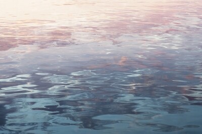 IN THE SHALLOWS