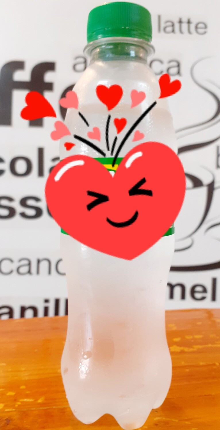 Shanghai w/ rice + drink