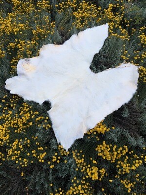 Goat Hide: saddle shaped, all white