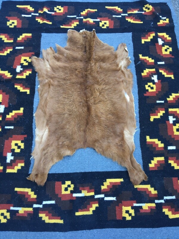 Small Goat Hide #9