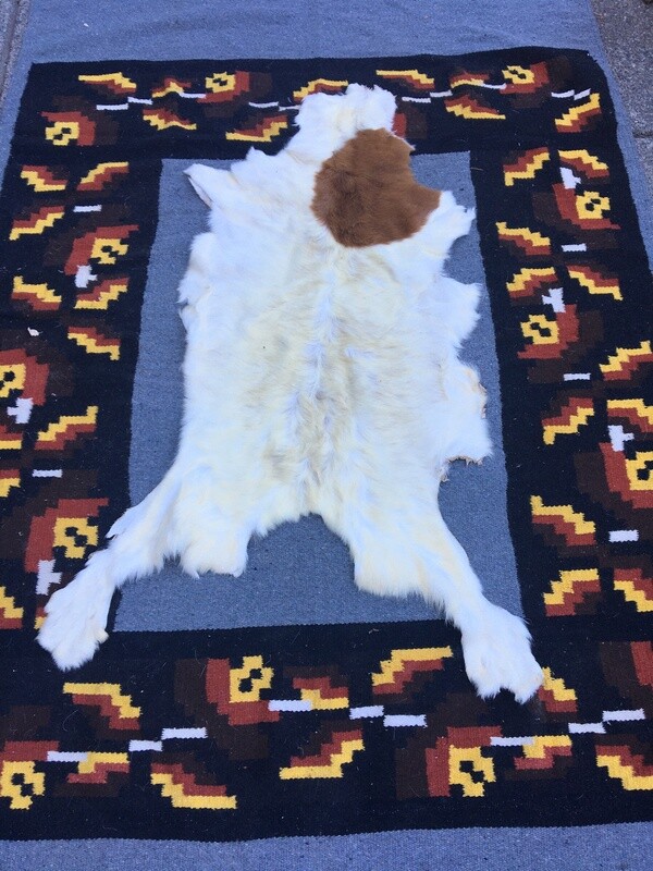 Small Goat Hide #13