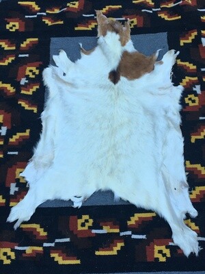 Medium Goat Hide #3