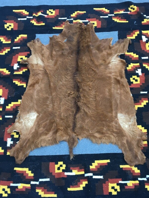 Medium Goat Hide #6
