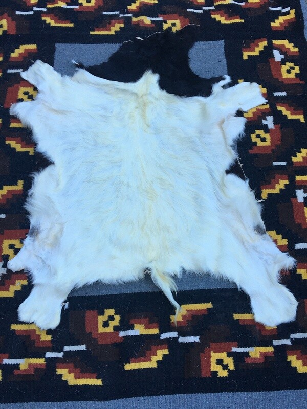 Medium Goat Hide #18
