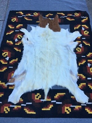 Medium Goat Hide #22