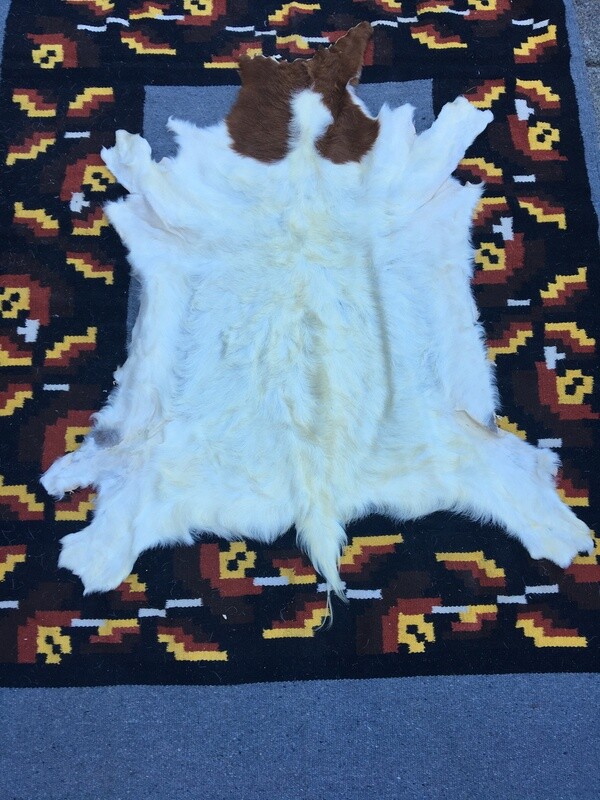 Medium Goat Hide #27