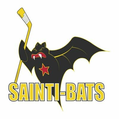 Vente HC Sainti-bats