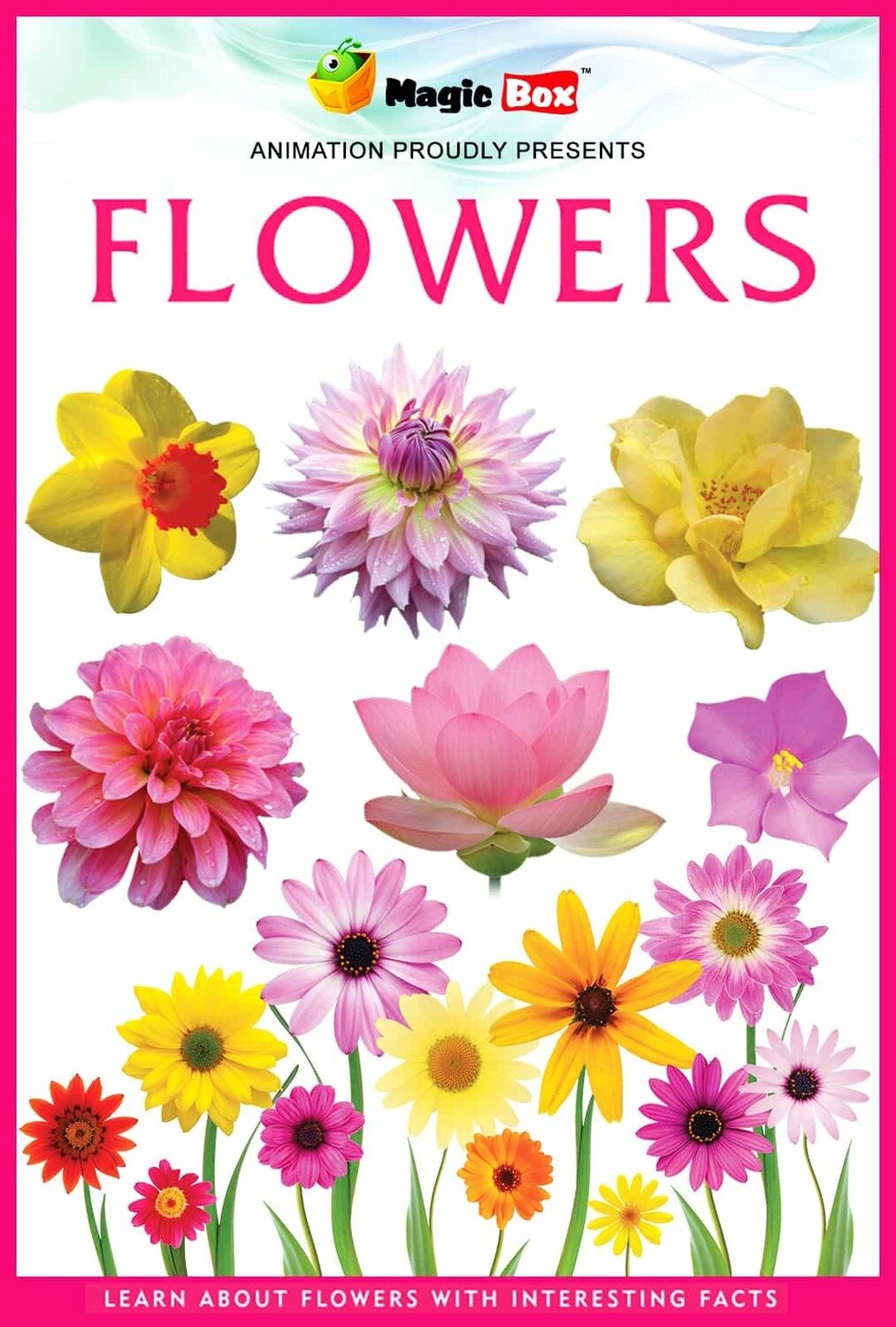 Flowers Flowers