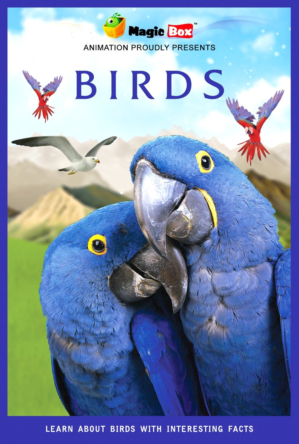 Birds Birds