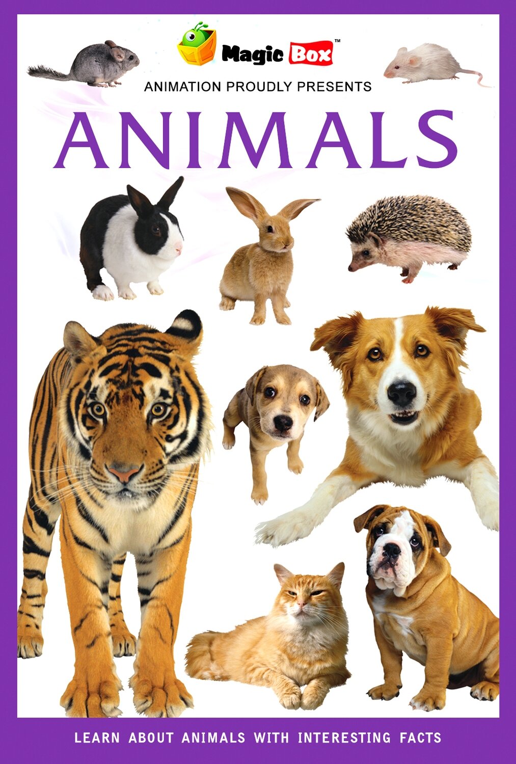 Animals Animals