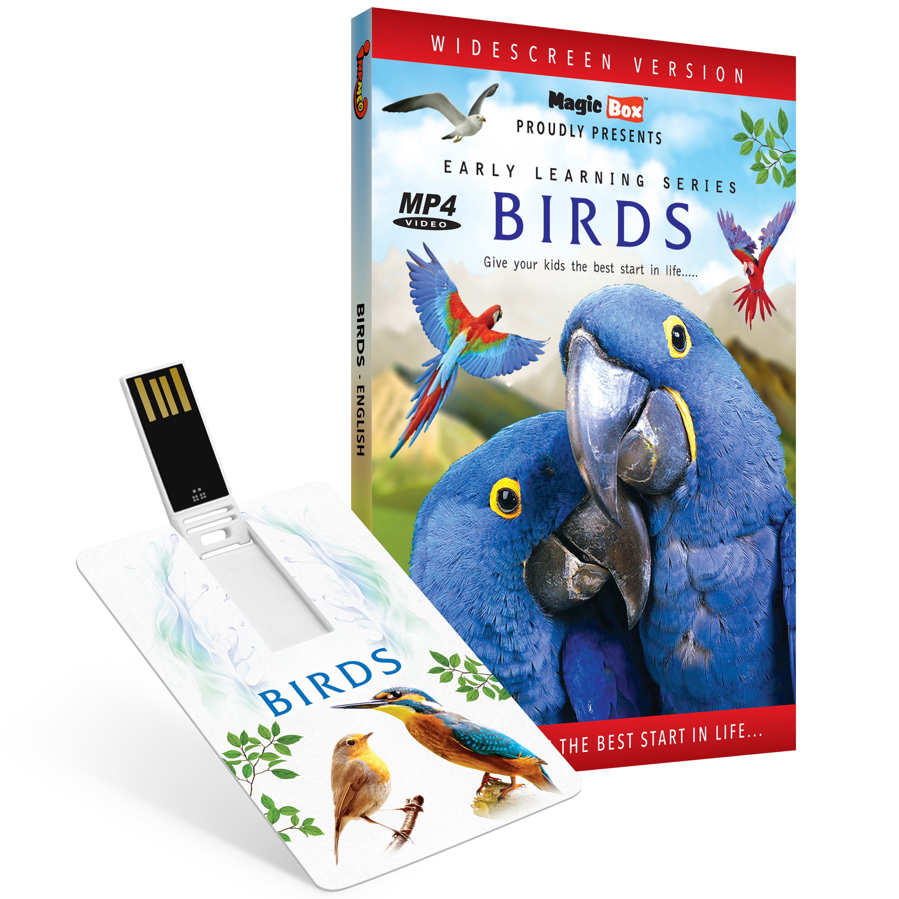 Birds