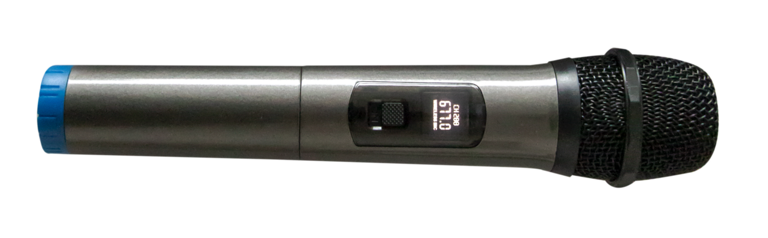 W/L MIC 677