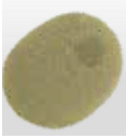 PMU FOAMR A