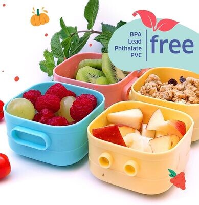 Baby Food Storage Containers 4pc
