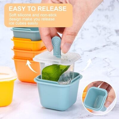 Ice Block Popsicle Mould 6pc