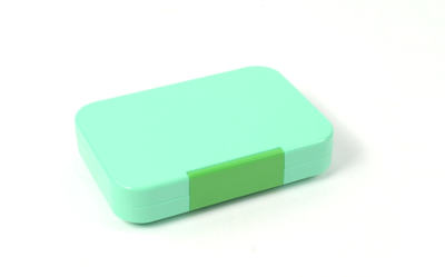Bento Box - Single Latch - Mint