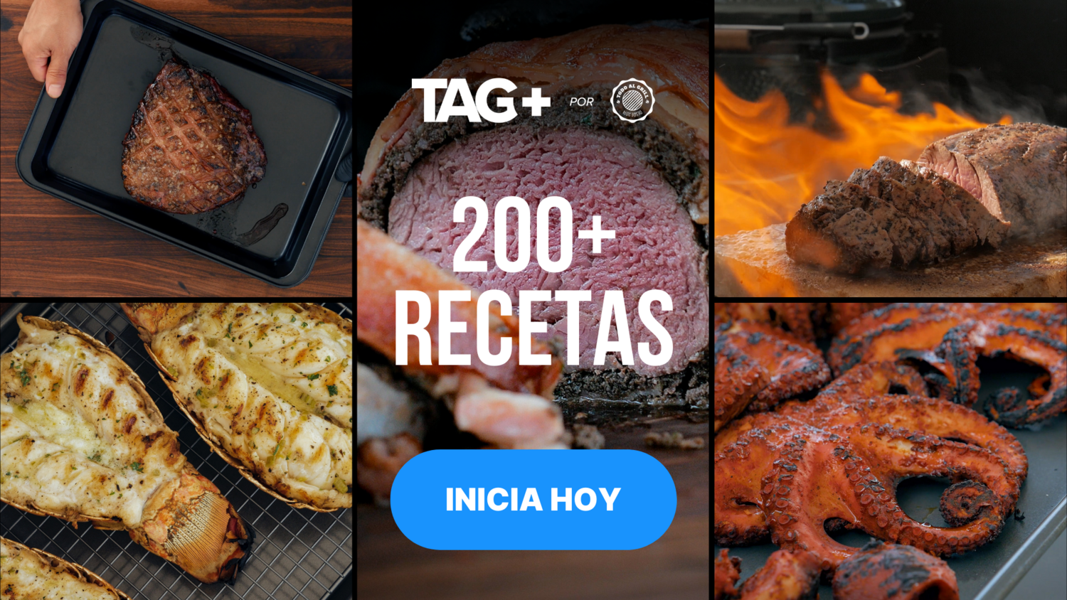 12 Meses × Acceso Total