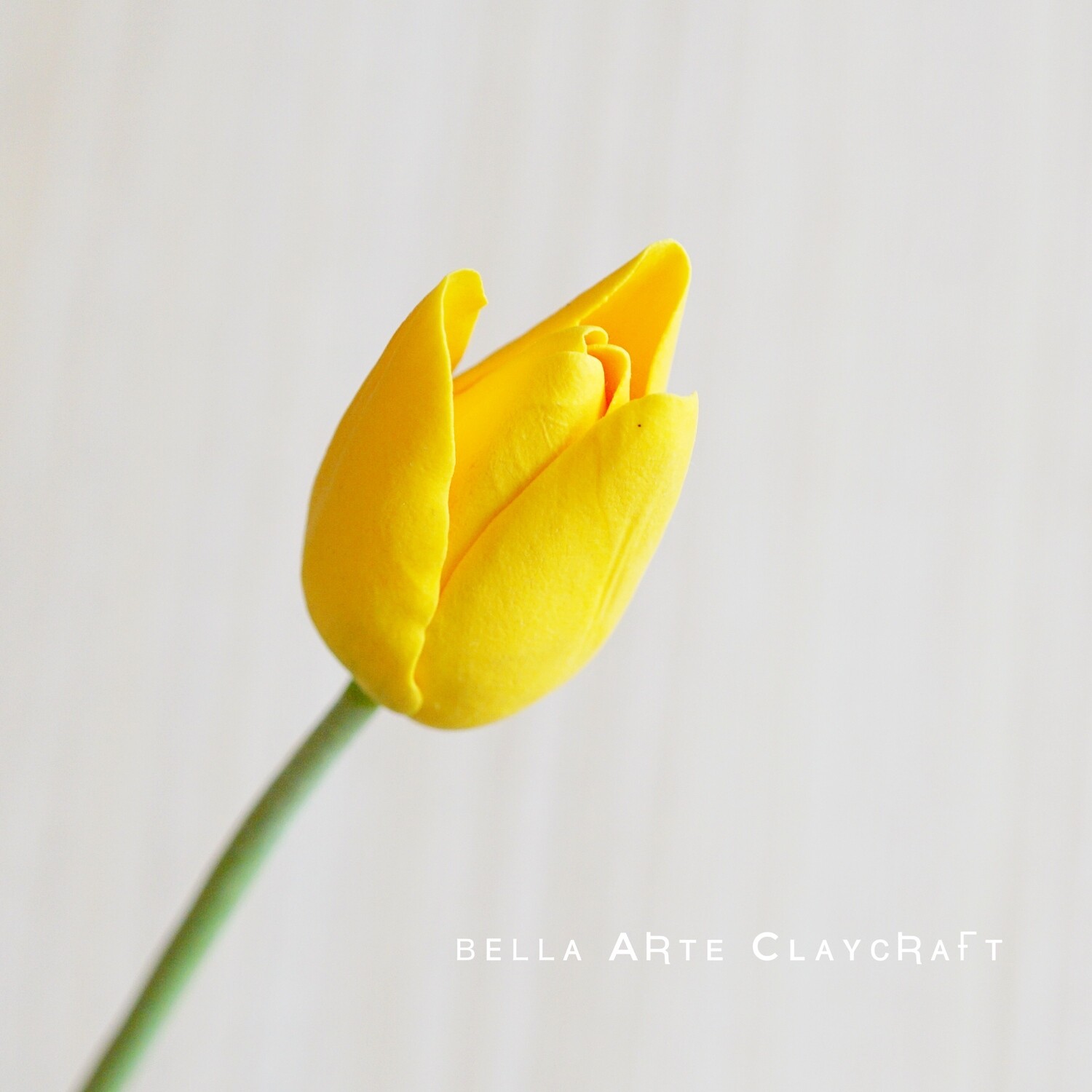 Tulip