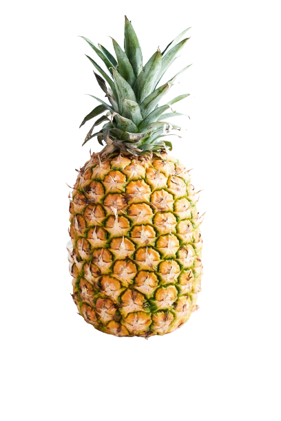 6PCS   PINEAPPLE