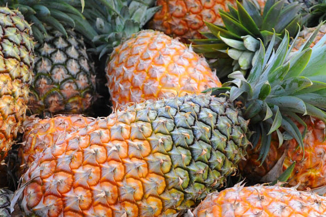 6PCS   PINEAPPLE