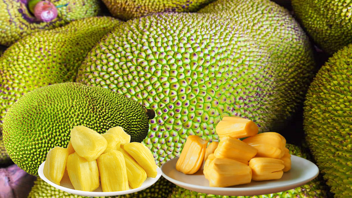 1 PC    JACKFRUIT