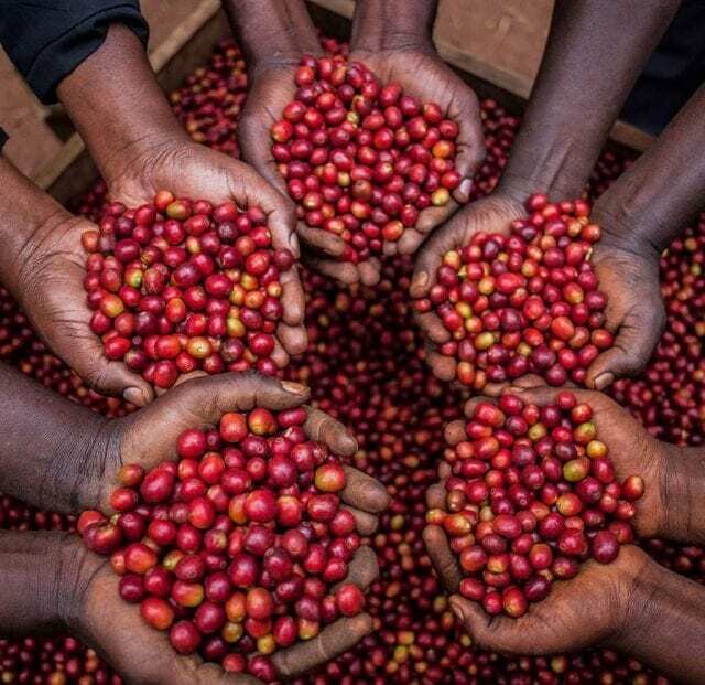 1Kg COFFEE
