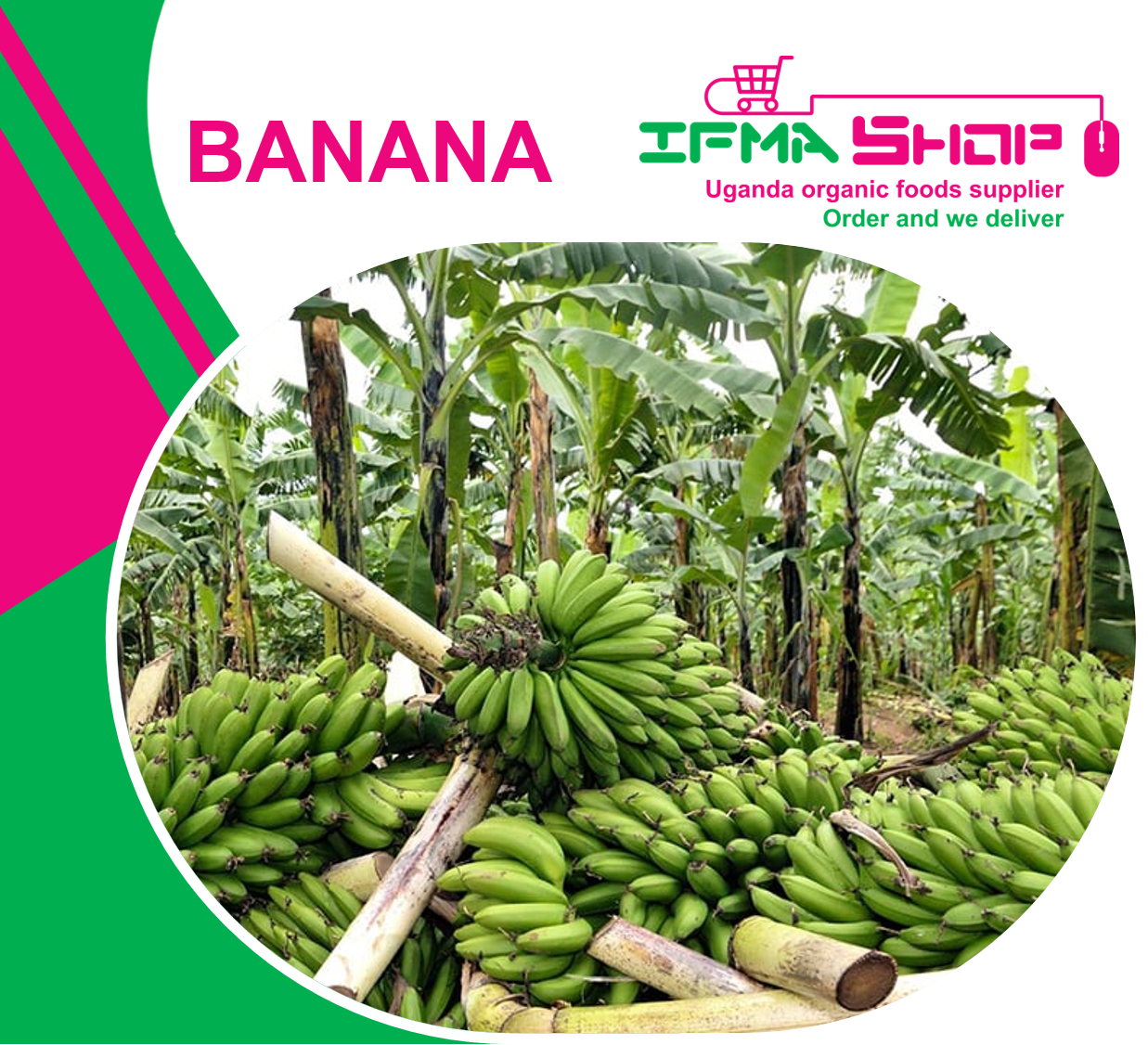 1Kg BANANA