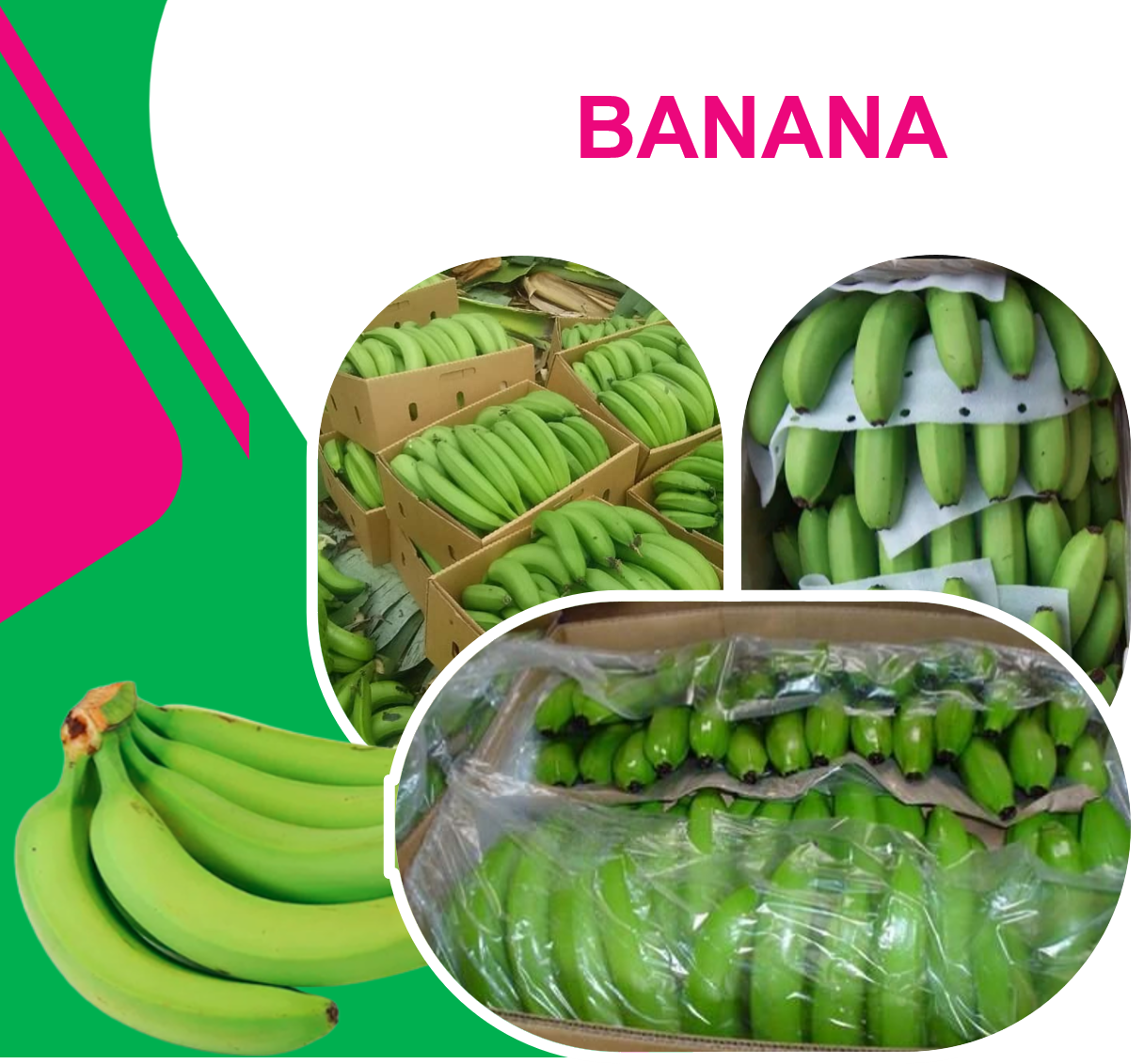 1Kg BANANA
