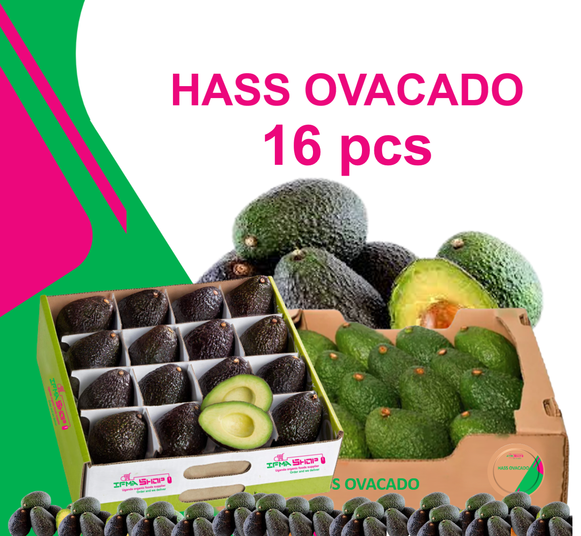 16 PIECES      HASS OVACADO