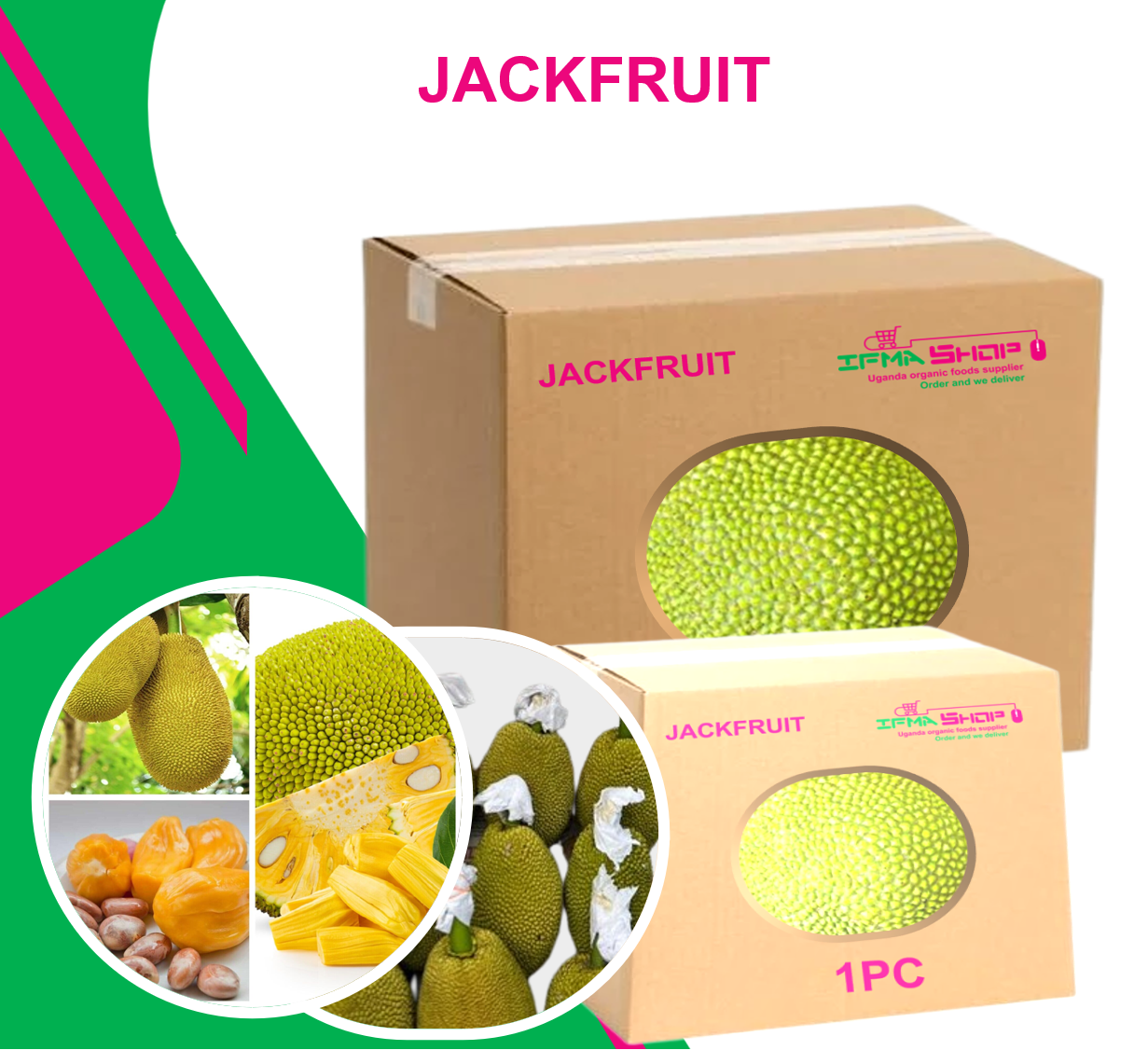 1 PC    JACKFRUIT